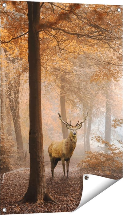 Gards Tuinposter Hert in het Bos - Herfst - 60x90 cm - Tuindoek - Tuindecoratie - Wanddecoratie buiten - Tuinschilderij