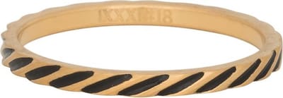 iXXXi Vulring 2mm Slanting stripes ring Mat Goudkleurig - maat 17
