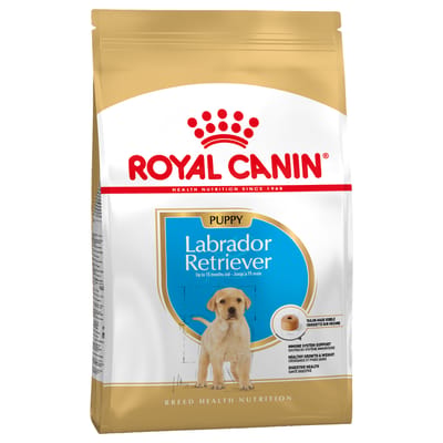 3kg Labrador Retriever Puppy Royal Canin Breed Hondenvoer