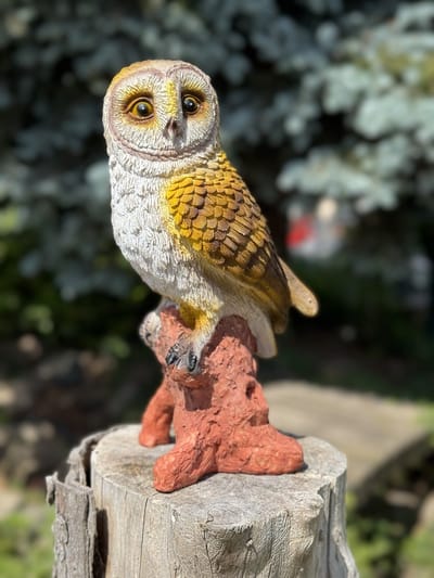 Uil kuiken 3 ass Kerkuil 24 cm hoog - polyester - polyresin - polystone - hoogkwalitatieve kunststof - decoratiefiguur - interieur - accessoire - voor binnen - voor buiten - cadeau - geschenk - Kerst - Nieuwjaar - tuinfiguur - tuinbeeld