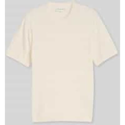 Tom Tailor - Gebreide trui met ribbelstructuur - Maat XXL - Gardenia White