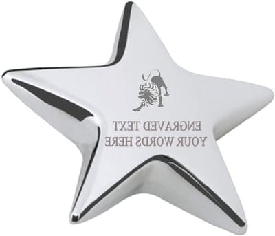 Papiergewicht Sterrenbeeld - Bureau Accessoire - Bureau Organisatie - Hand Gegraveerd Ontwerp - 70mm - Zilver