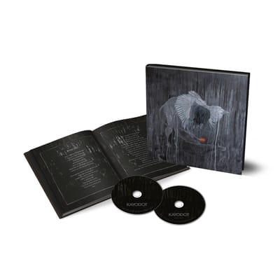 Every Rock, Every Half-truth Under Reason (Deluxe Edition)