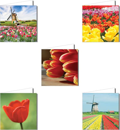 Wenskaartenpakket – 10 Stuks met Tulpenvelden en Molens in Hollands Thema (14,5 x 14,5 cm)
