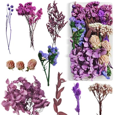 Dailygoods - droogbloemen wit (paars)