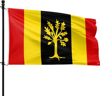 VlagDirect - Waalwijk vlag - Gemeente Waalwijk vlag - 90 x 150 cm.