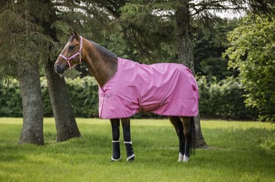 BUCAS FREEDOM TURNOUT LIGHT REGENDEKEN 0GR Roze