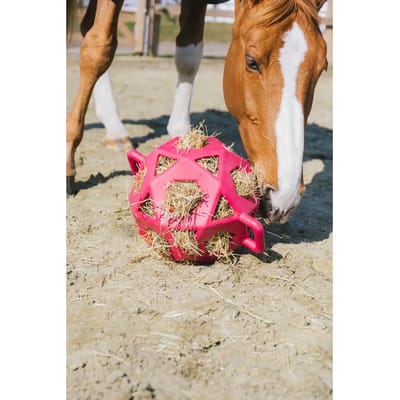 Kentucky Horsewear - Relax Paardenspeeltje speel- en hooibal Pink size L 40cm