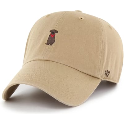 47 Dog Base Runner Icon Clean Up Pet Beige