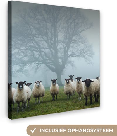 Canvas Schilderij Schapen - Boom - Mist - 20x20 cm - Wanddecoratie