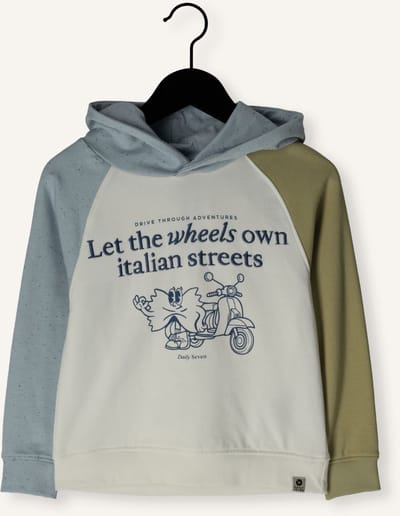 DAILY7 Hoodie Contrast Sweat Truien & Vesten Jongens - Sweater - Hoodie - Vest- Multi - Maat 104