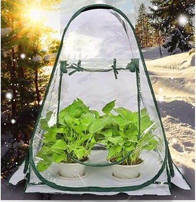 Mini Kas - Kleine Tuinkas - Planten Beschermen - Pop-up Design - 75x75x80 cm - Transparant