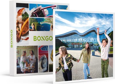 Bongo Bon -Bezoek Aan Madurodam Voor 2- Cadeaukaart