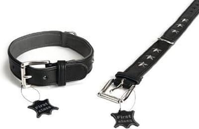 Stars Hondenhalsband - Leer - Zwart - 37-45 cm x 35 mm