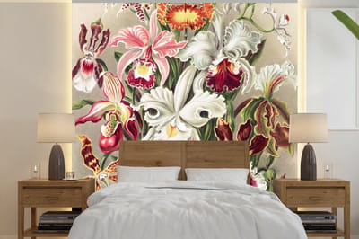 Behang - Fotobehang Bloemen - Ernst Haeckel - Vintage - Orchidee - Breedte 350 cm x hoogte 350 cm