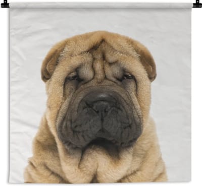 Wandkleed Animalprintshop - Gerimpeld hondje - Portret dierenprint kinderkamer Wandkleed katoen 90x90 cm - Wandtapijt met foto