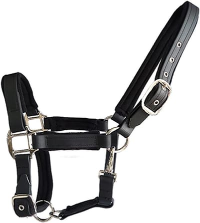 Comfortabele Dikke Nylon Dumbbells voor Paarden, Pony's en Ezelletjes - Dubbele Laag en Zacht Gevoerd voor Optimale Ondersteuning