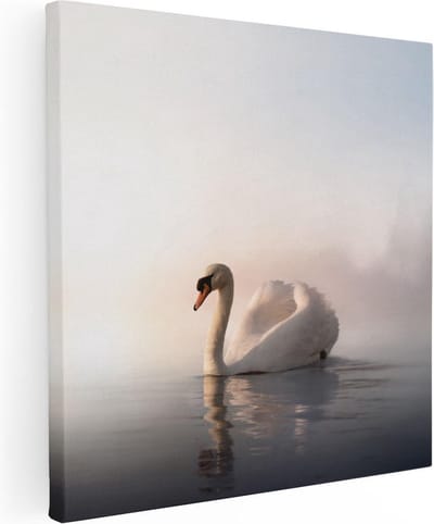 Artaza Canvas Schilderij Zwaan - 30x30 cm - Klein - Wanddecoratie Vogels - Muurdecoratie Woonkamer - Kamer Accessoires Zon