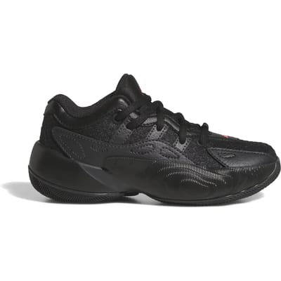Basketbalschoenen voor kinderen adidas Trae Unlimited