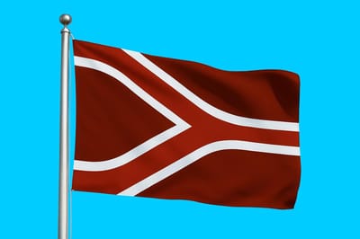 Vlag streek Liemers 120x180 cm