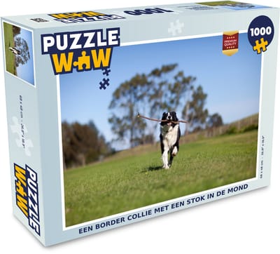 Puzzel Een border collie met een stok in de mond - Legpuzzel - Puzzel 1000 stukjes volwassenen