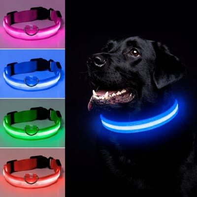 Honden halsband LED - Maat S - USB-oplaadbaar - 100% waterdicht - Blauw - Halsband met verlichting - 3 verschillende standen - Lichtgevende hondenhalsband - Super helder licht - Voor huisdieren