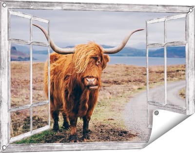 Gards Tuinposter Doorkijk Schotse Hooglander Koe op de Weg - 90x60 cm - Tuindoek - Tuindecoratie - Wanddecoratie buiten - Tuinschilderij