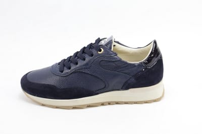 DLSport 6957 alpina oceano