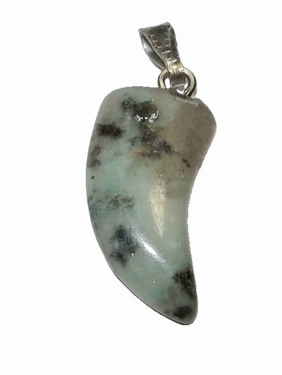 Tand Hanger Jaspis Kiwi