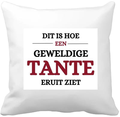 Akyol - geweldige tante Kussen hoes - Tante - liefste tante - verjaardagscadeau - verjaardag - cadeau voor tante - kado - 40 bij 40 cm