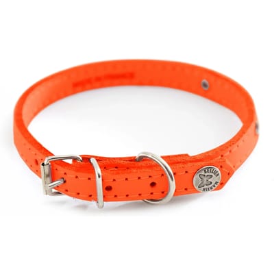 Dogen halsband met stiksels en naamplaatje Martin Sellier