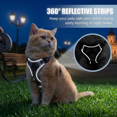 Kattenharnas met anti-ontsnappingslijn verstelbaar met reflecterende strepen en ademend net comfortabele nachtveiligheid voor katten kittens en puppy's grijs - M