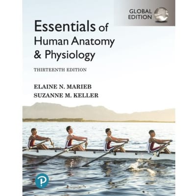 Essentials Of Human Anatomy & Physiology, Global Edition - Elaine Marieb