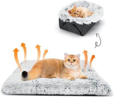 Famanu – 2-in-1 kattenbed -verdikte kattenbeddeken -pluizig en wasbaar -geschikt voor katten en kleine honden -60 x 50 cm