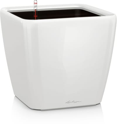 LECHUZA QUADRO Premium LS 50 - Plantenbak - met uitneembare binnenbak - met bewateringssysteem - ALL-IN-ONE set met LECHUZA-PON - wit hoogglans
