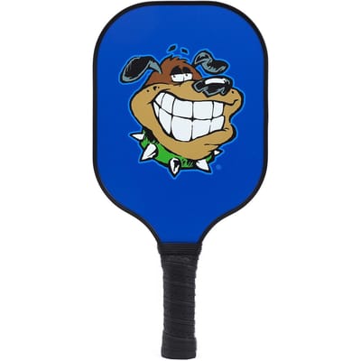 Pickleball-Shot Cartoon Dier Strand Rackets Buitensporten 40-Gats Pickleball Glasvezel Zuigbal Set blue