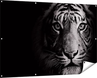 Gards Tuinposter Tijgerkop - Tijger - Zwart Wit - 150x100 cm - Tuindoek - Tuindecoratie - Wanddecoratie buiten - Tuinschilderij