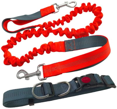 Store_9 - Handsfree hondenriem - Verstelbare heupriem - Bungee-riemset - Oranje - Reflecterend - Geschikt voor medium en grote honden - Inclusief r...