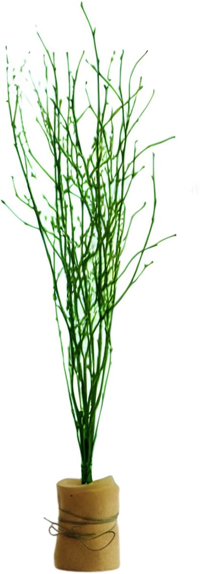 Paastakken - 115 cm - 3 takken - berkentakken - kunst - paasversiering - pasen