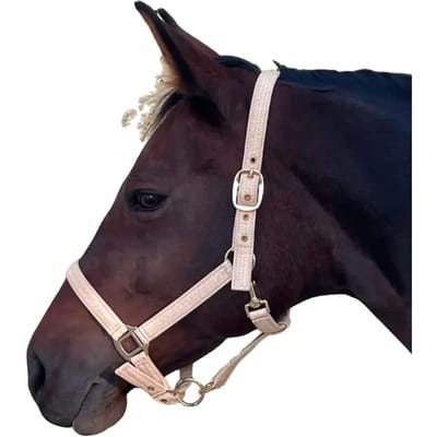 Halster voor paarden Canter Malibu