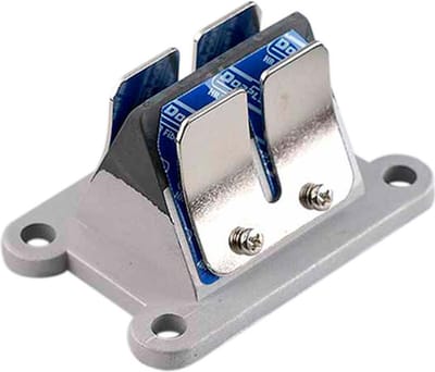doppler inlaatklep voor rieju 50 mrx pro motorfiets nieuw