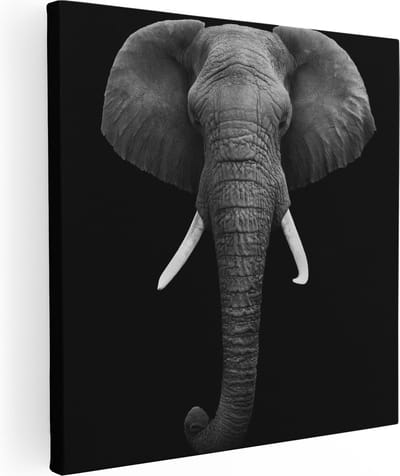 Artaza Canvas Schilderij Olifant - 80x80 cm - Wanddecoratie Dieren - Muurdecoratie Zwart Wit - Schilderijen Op Canvas