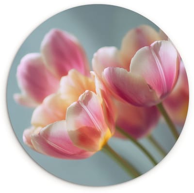 WallCircle® Wandcirkel 120x120 cm - Muurcirkel Tulpen - Roze - Stelen - Muurdecoratie woonkamer - Wanddecoratie slaapkamer - Kamer decoratie accessoires - Ronde schilderijen XXL