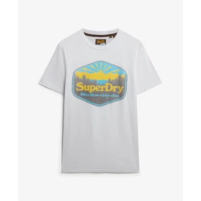Superdry - T-shirt met Superdry Sun-logo - Heren - T-shirts