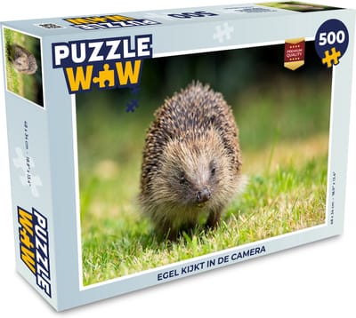Puzzel Egel kijkt in de camera - Legpuzzel - Puzzel 500 stukjes