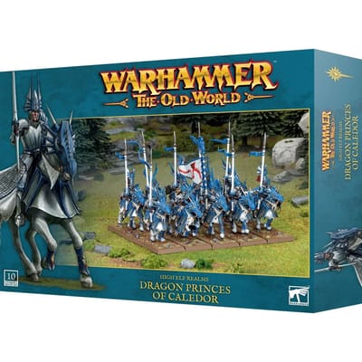 Beeldje Games Workshop Warhammer ToW - Royaumes des Hauts Elfes : Princes Dragons de Caledor (x10)