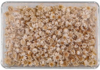 MTTproducts- Gedroogde Bloemen 200 Stuks - Mini Natuurlijke Bloemkoppen - Madeliefjes - DIY Decoraties - Kaarsen Maken - 120 Gram - Droogbloemen