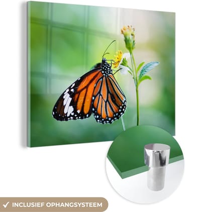MuchoWow® Glasschilderij 40x30 cm - Schilderij acrylglas - Vlinder - Bloemen - Insecten - Foto op glas - Schilderijen