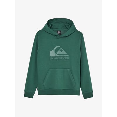 Quiksilver Comp Logo Hoodie Groen 14 Years Jongen