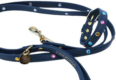 Cavlicious® honden halsband met leiband – kleine hond - veganleder - met strass - blauw – S